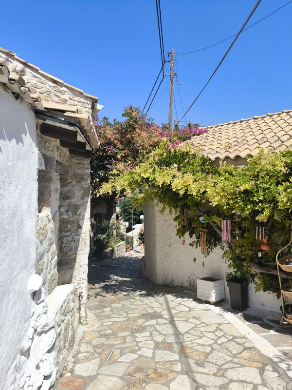 Découvrez la moquette de pierre en Loire-Atlantique : élégance et durabilité